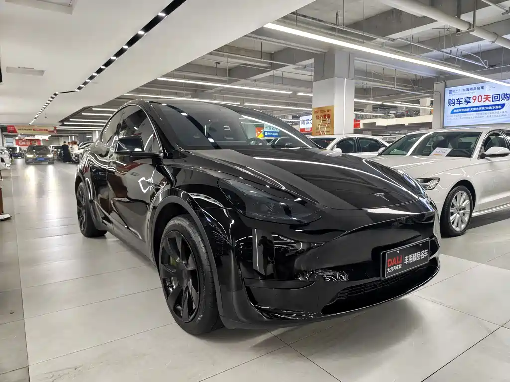 Tesla Model Y — фото 3