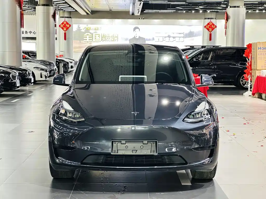 Tesla Model Y — фото 2
