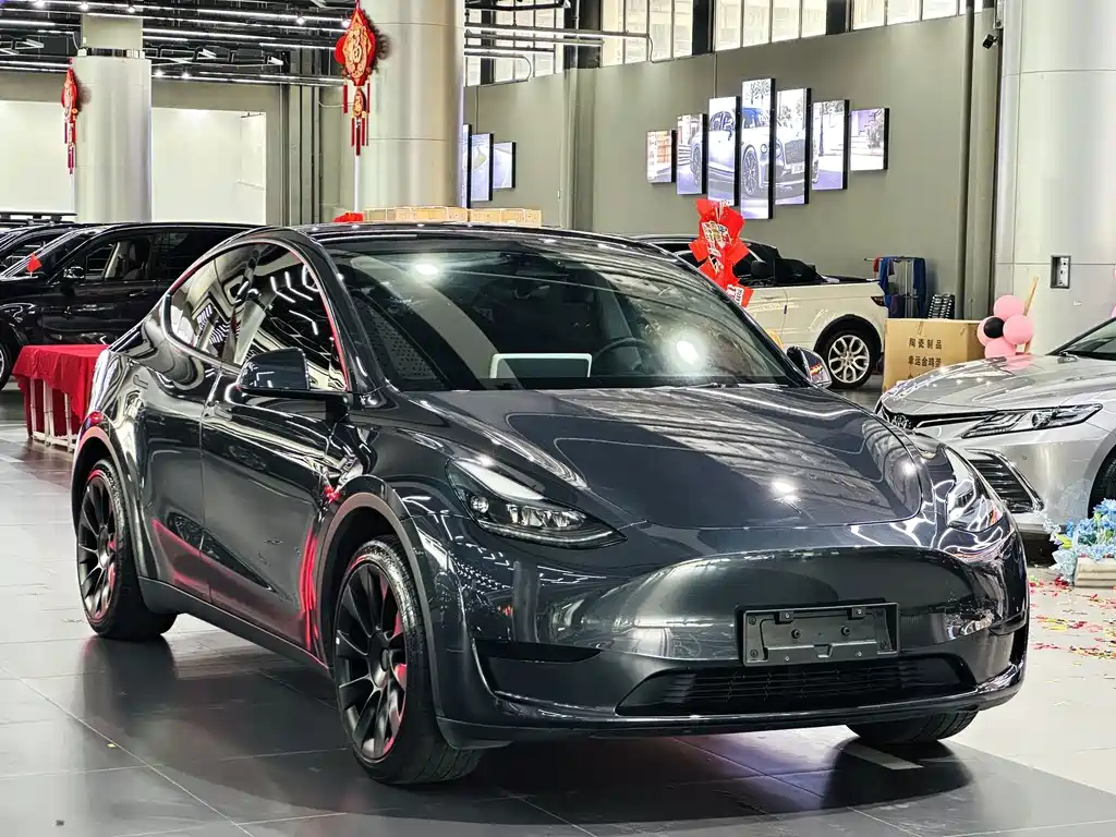 Tesla Model Y — фото 3