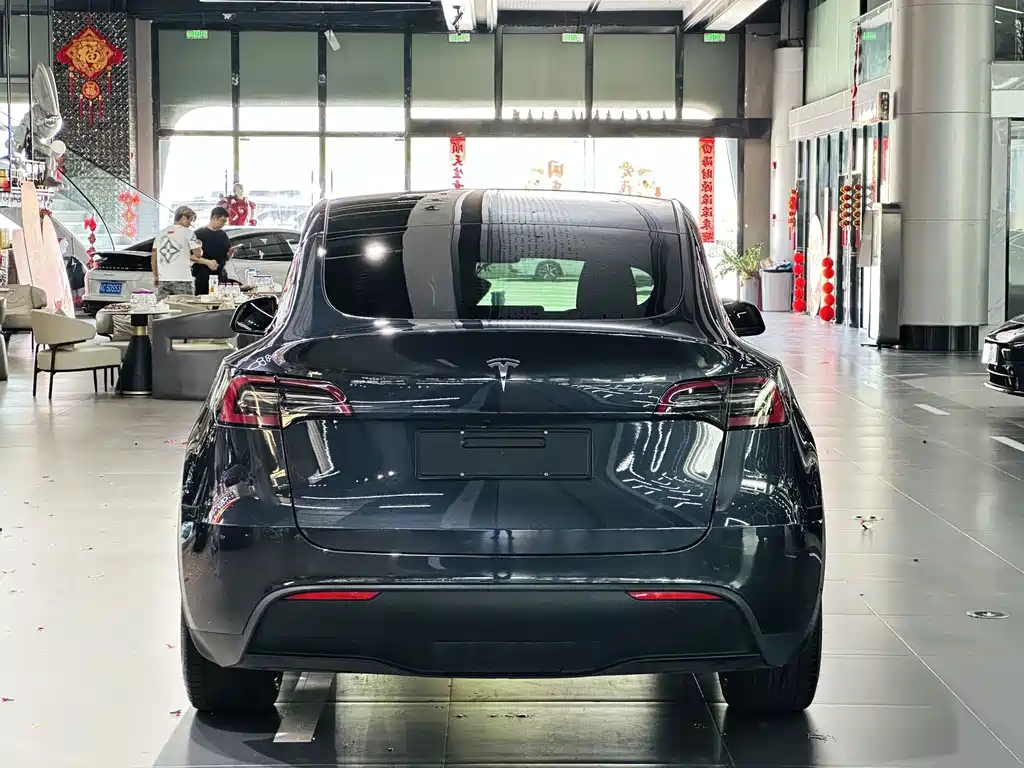 Tesla Model Y — фото 8