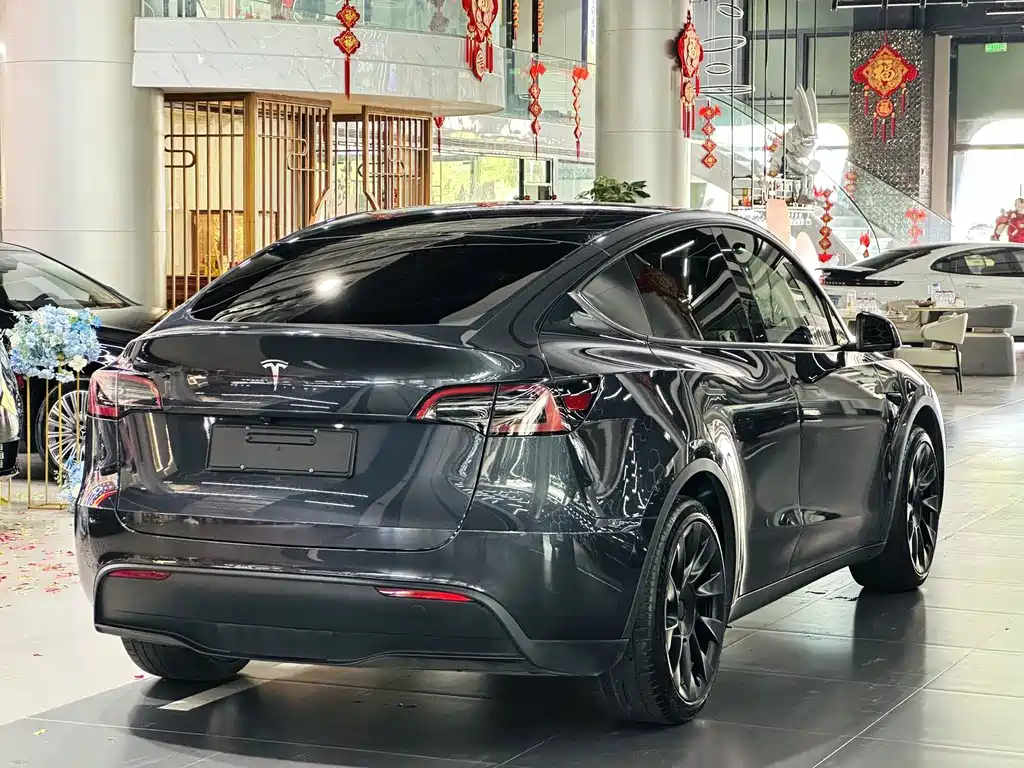 Tesla Model Y — фото 9
