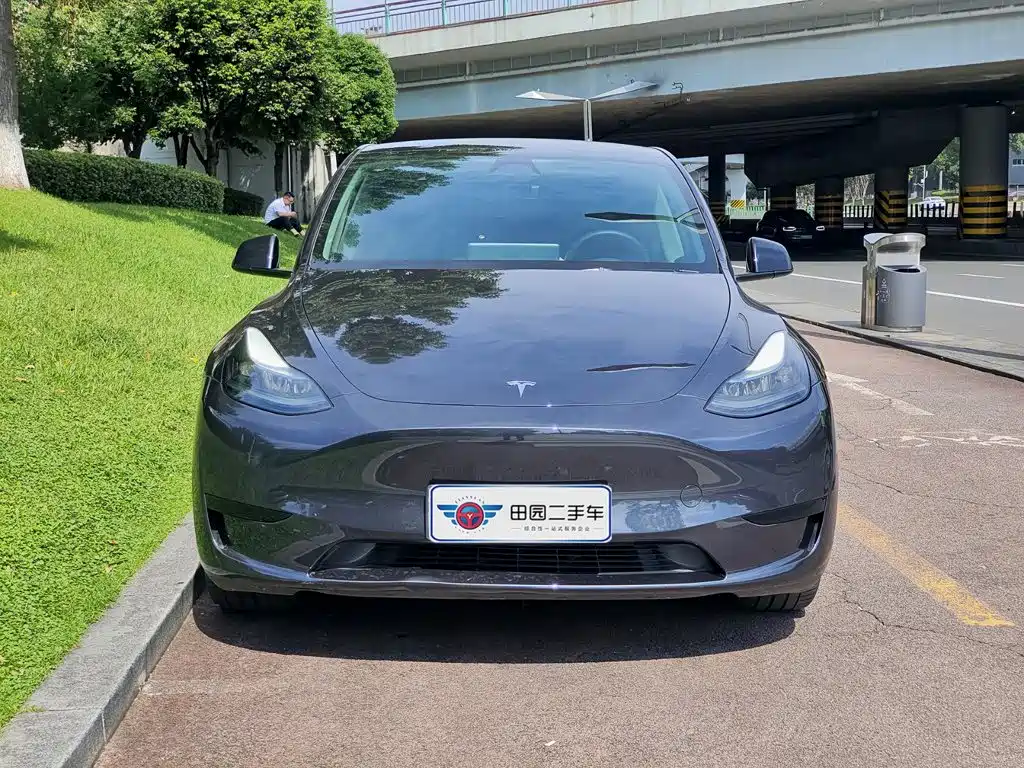 Tesla Model Y — фото 2
