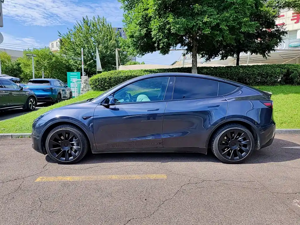 Tesla Model Y — фото 3