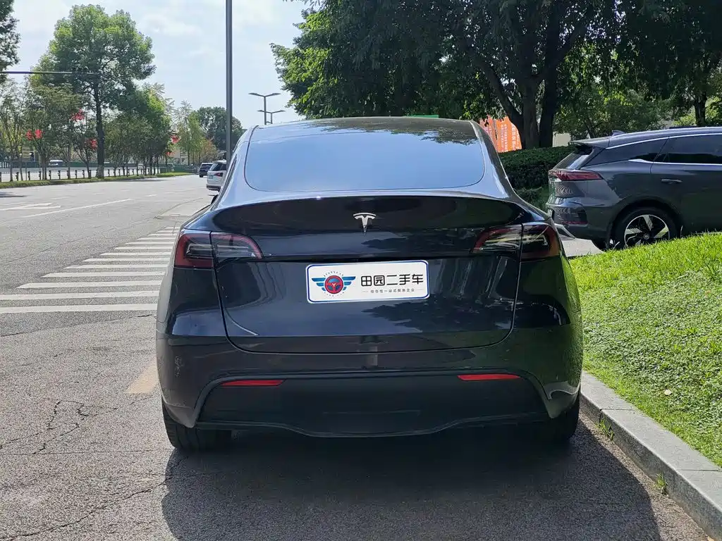 Tesla Model Y — фото 5