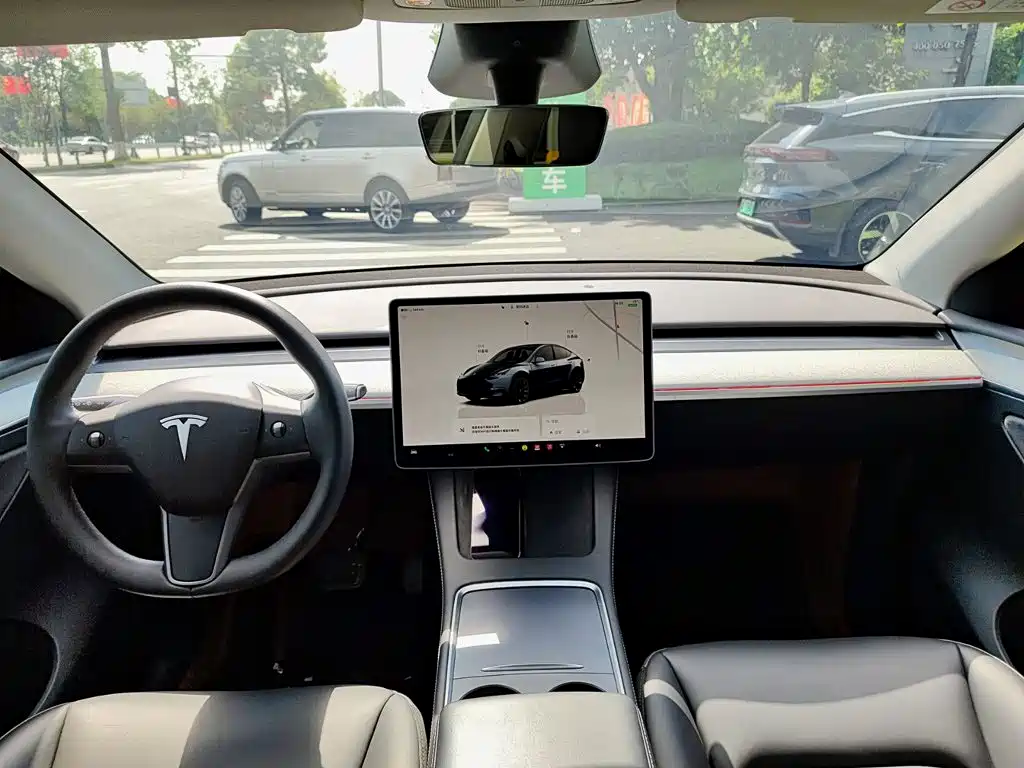 Tesla Model Y — фото 10