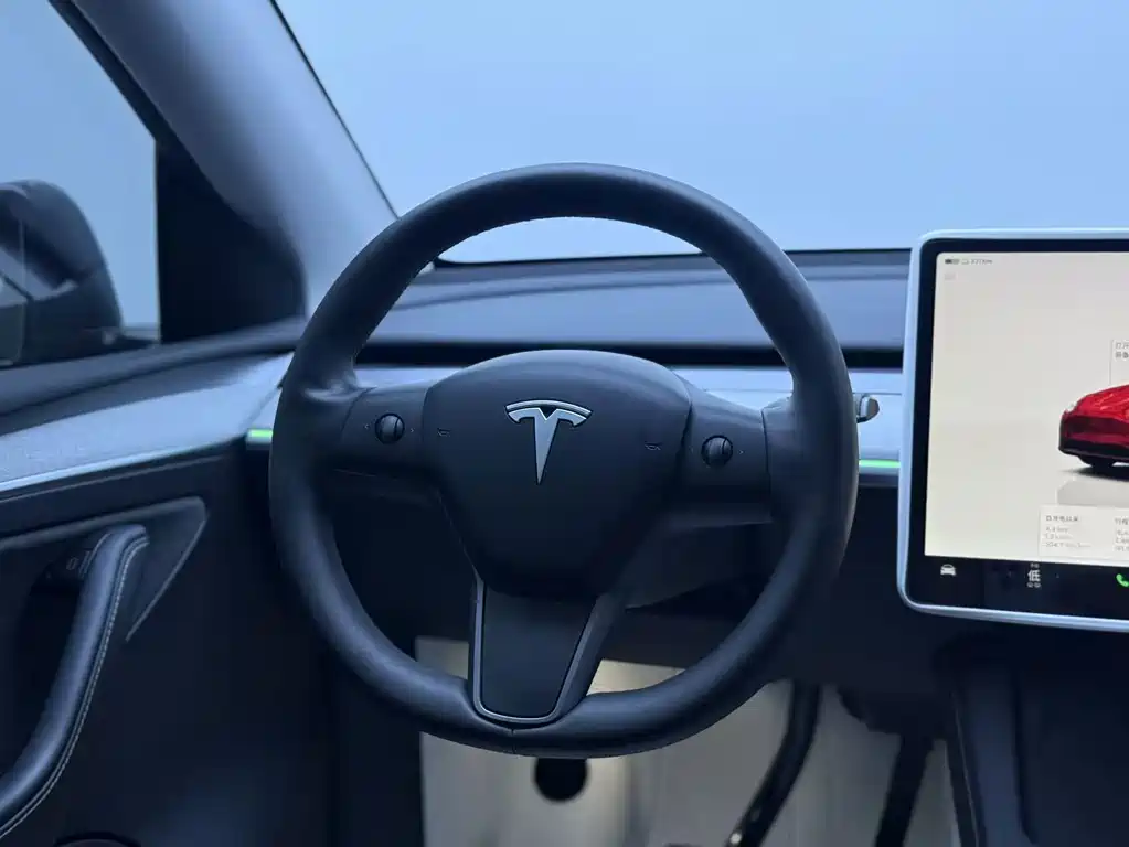 Tesla Model Y — фото 11
