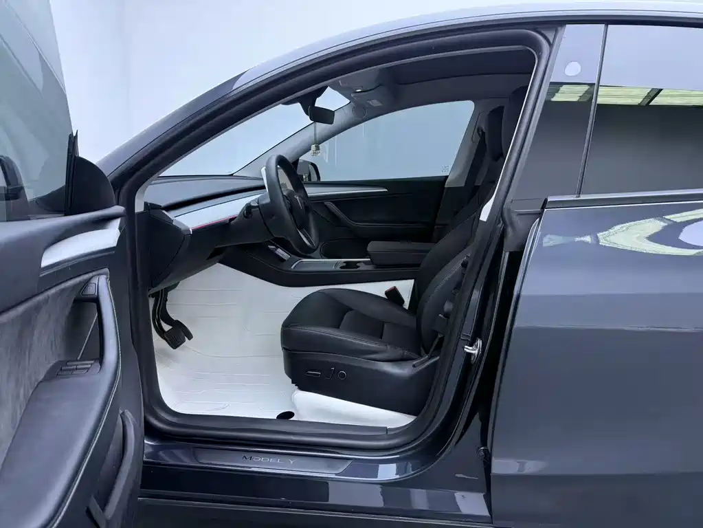 Tesla Model Y — фото 9