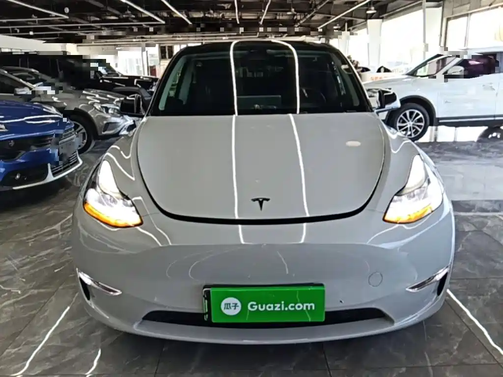 Tesla Model Y — фото 3