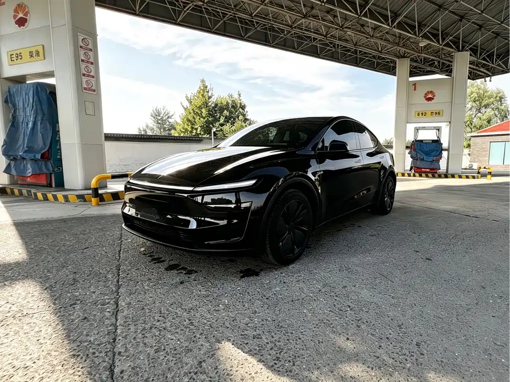 Tesla Model Y — фото 2