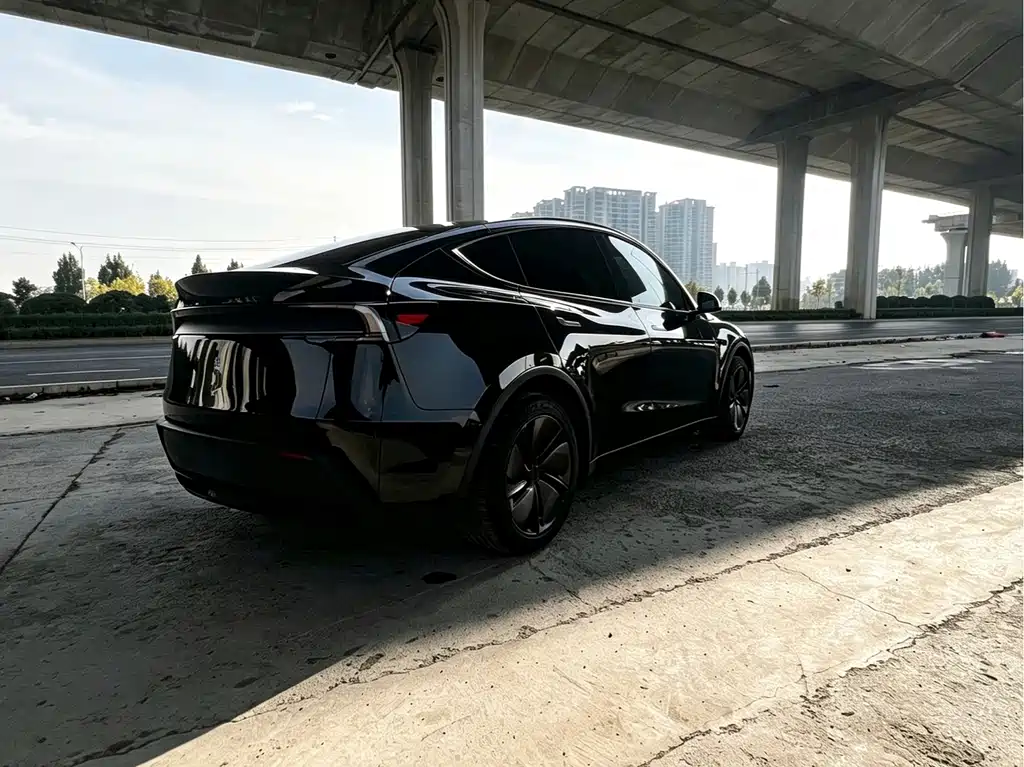 Tesla Model Y — фото 4