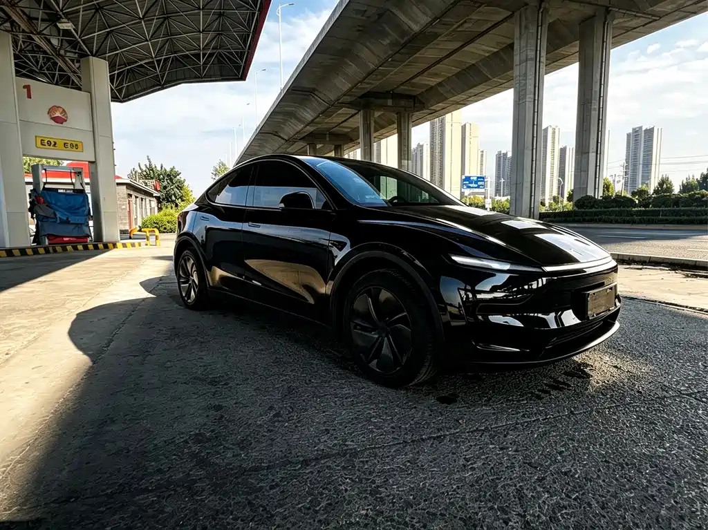 Tesla Model Y — фото 5