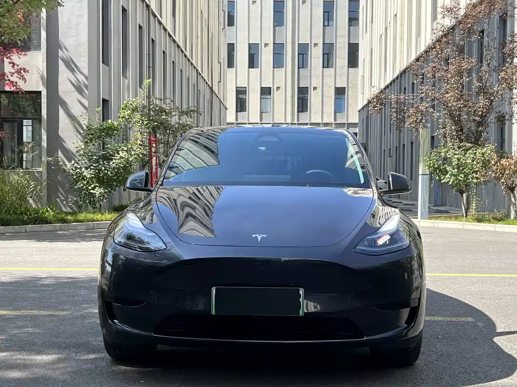 Tesla Model Y — фото 2
