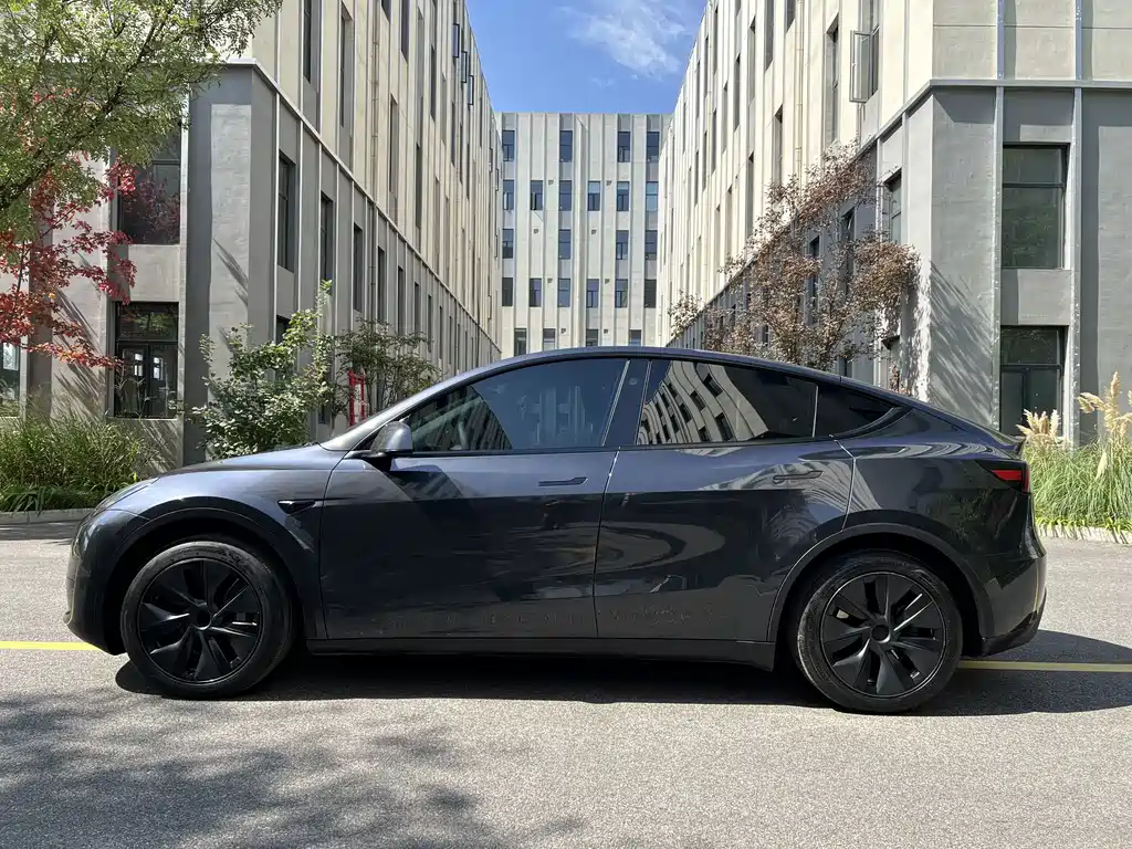Tesla Model Y — фото 11