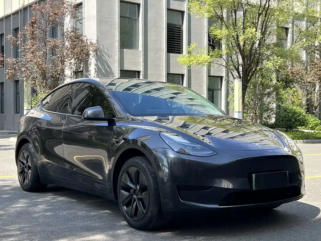 Tesla Model Y — фото 3