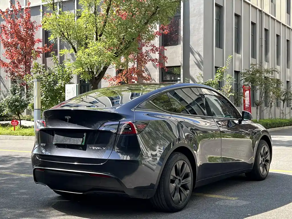 Tesla Model Y — фото 7
