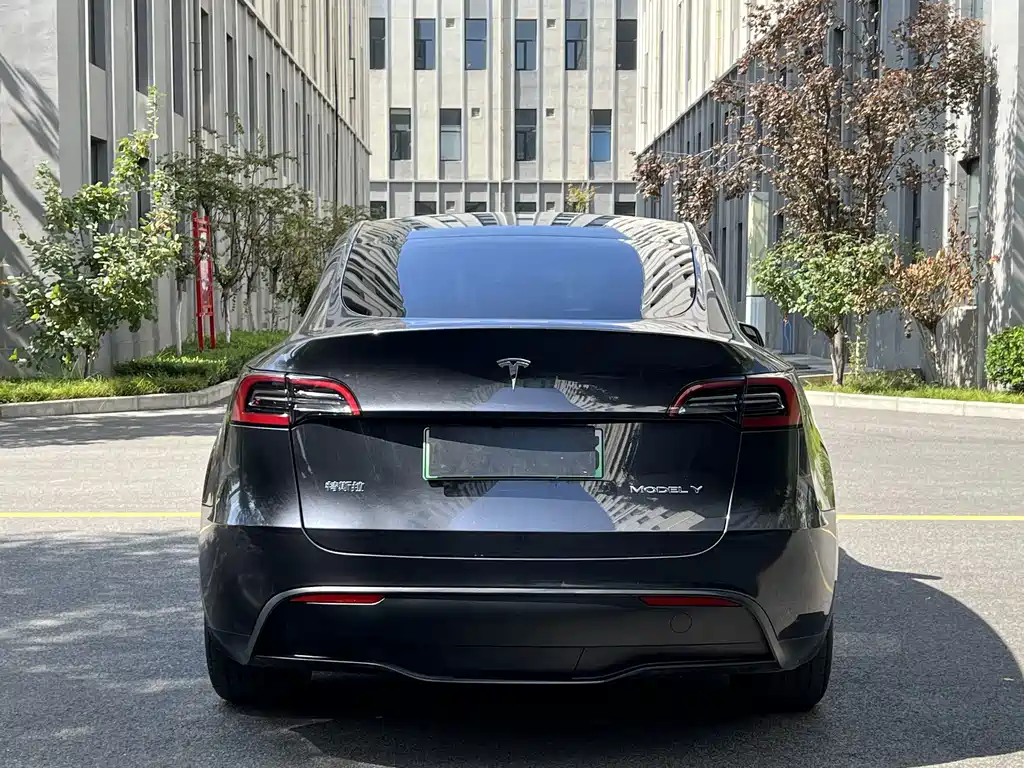 Tesla Model Y — фото 8
