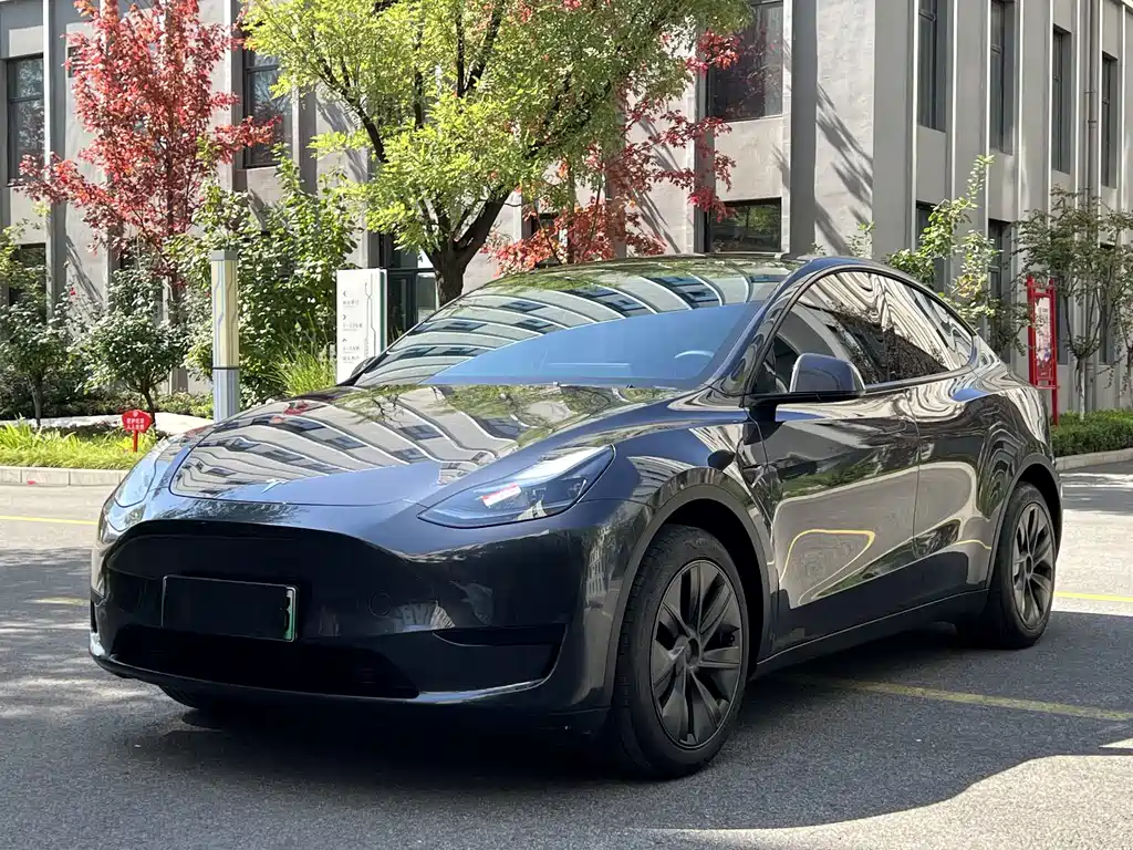 Tesla Model Y — фото 1