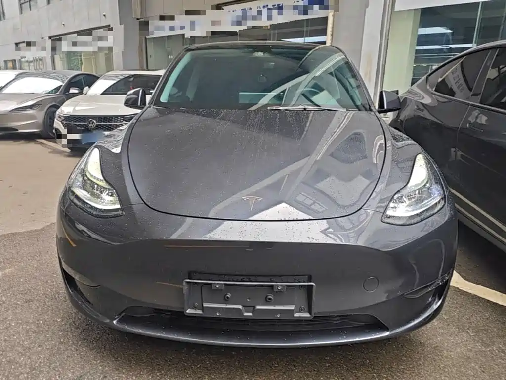 Tesla Model Y — фото 3