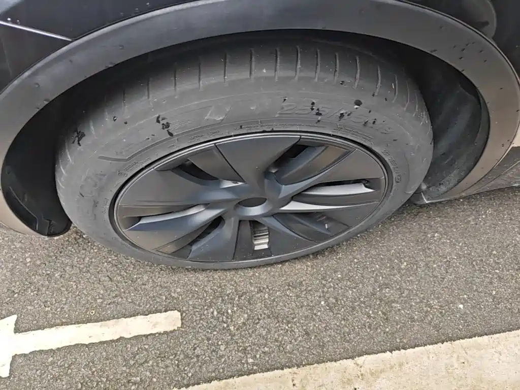 Tesla Model Y — фото 23