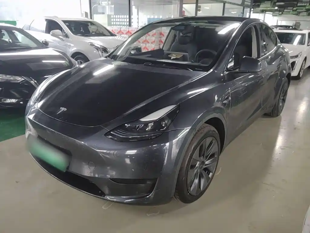 Tesla Model Y — фото 2