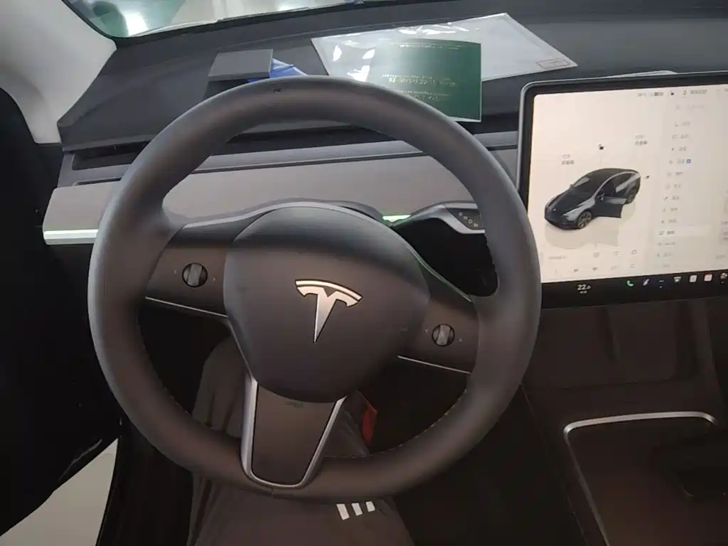 Tesla Model Y — фото 11