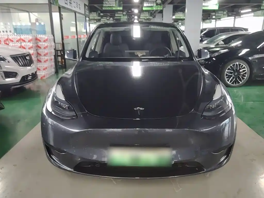 Tesla Model Y — фото 3