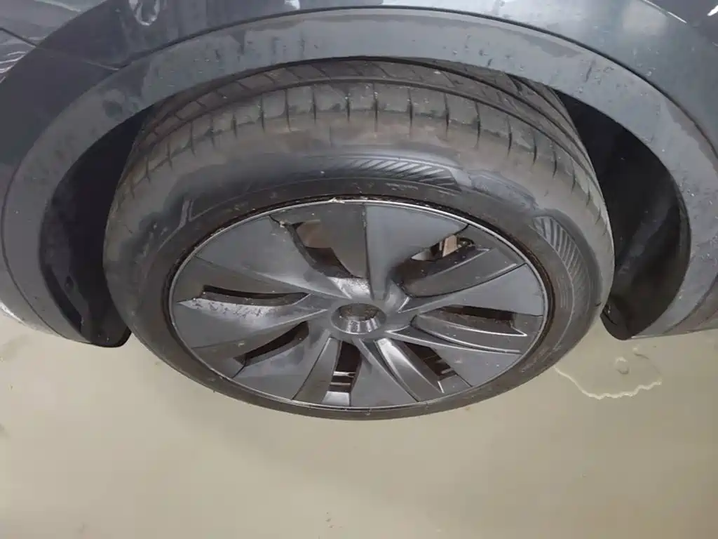 Tesla Model Y — фото 23
