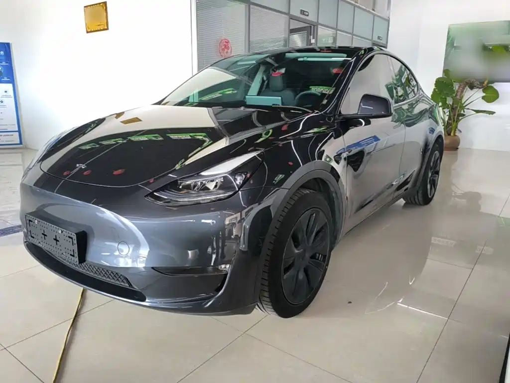 Tesla Model Y — фото 2