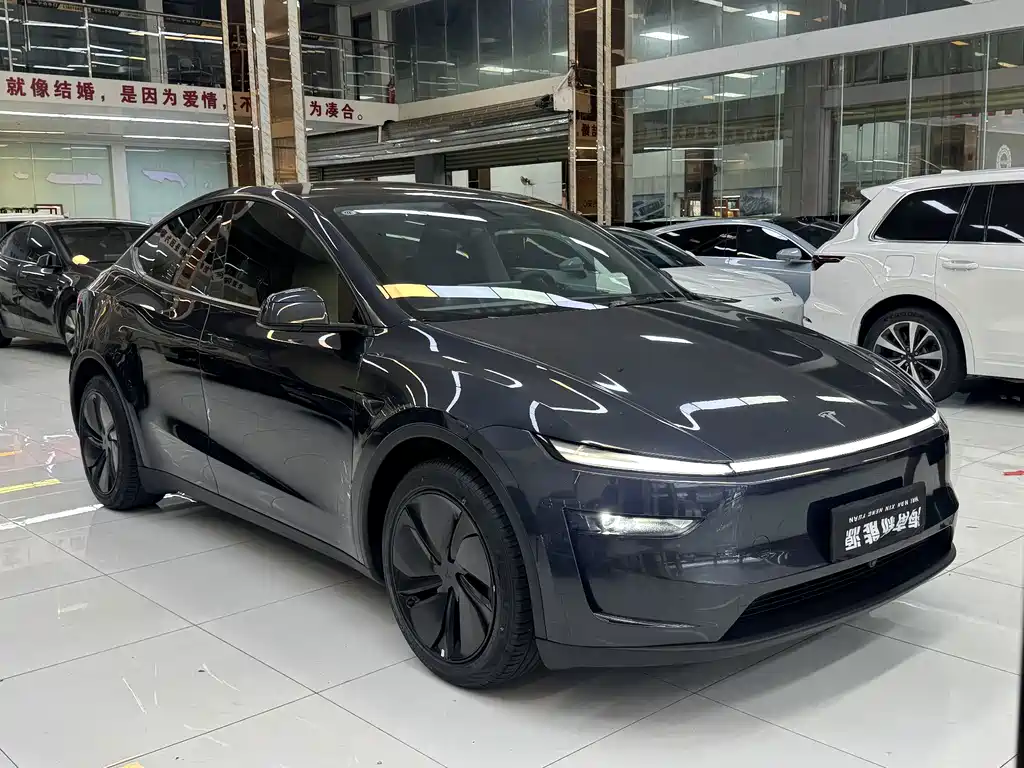 Tesla Model Y — фото 3