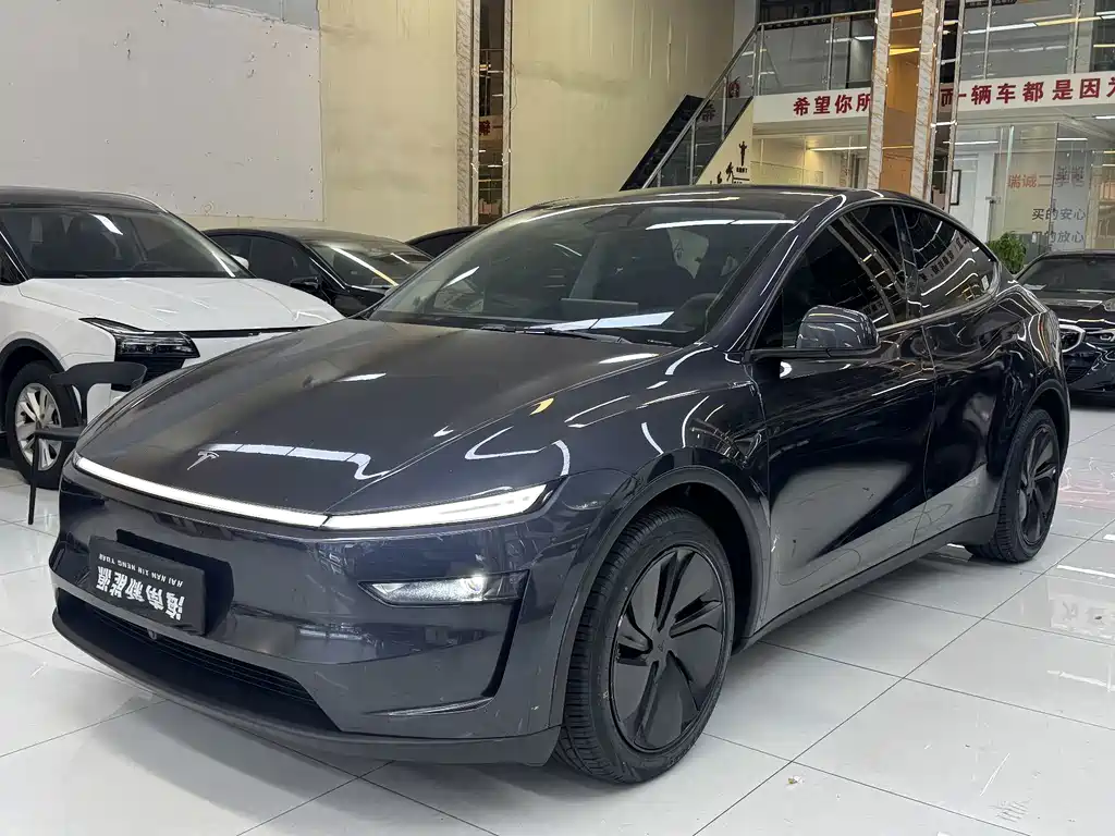 Tesla Model Y — фото 1