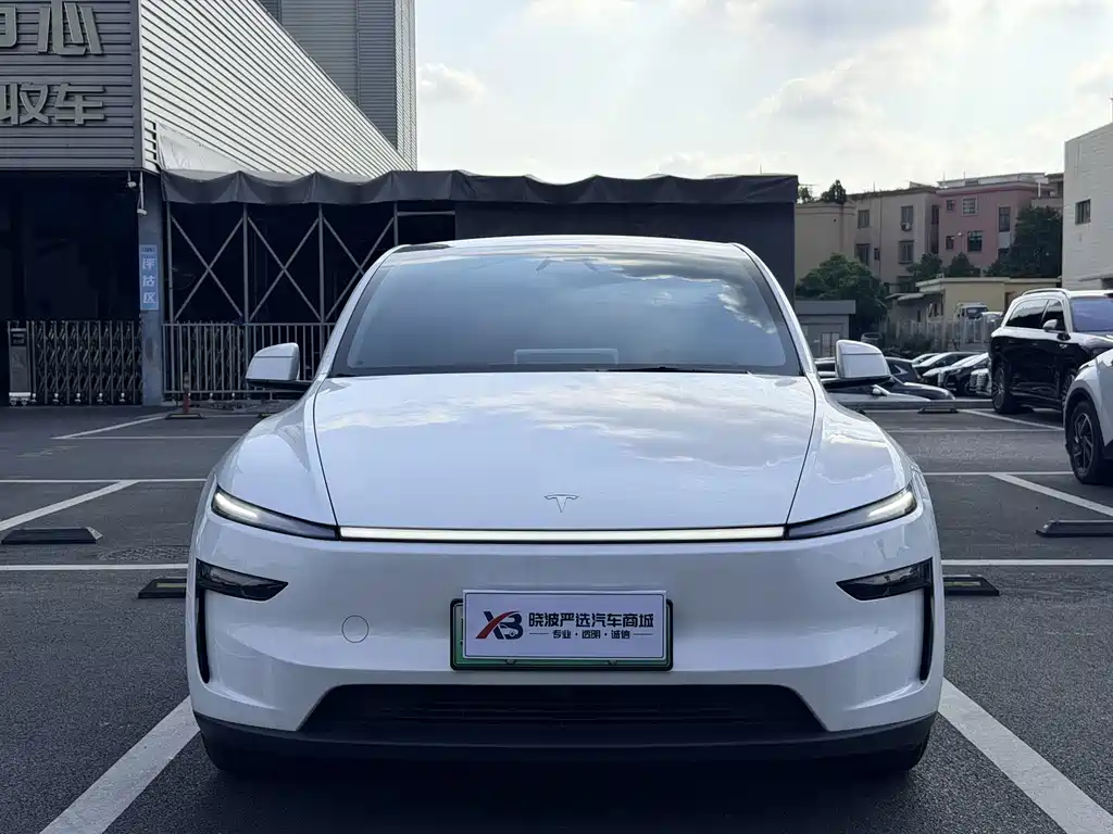 Tesla Model Y — фото 2