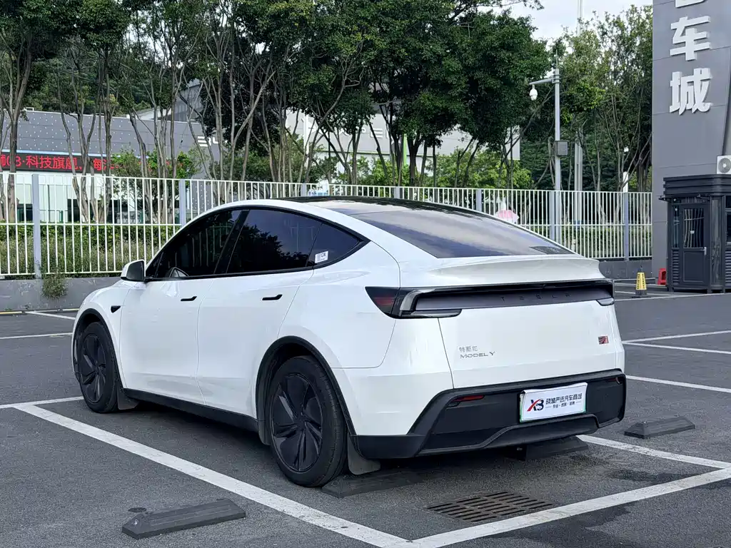 Tesla Model Y — фото 14