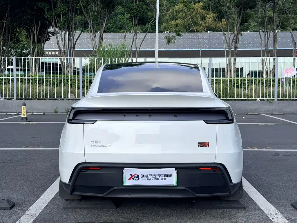 Tesla Model Y — фото 15