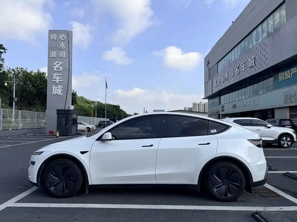Tesla Model Y — фото 3
