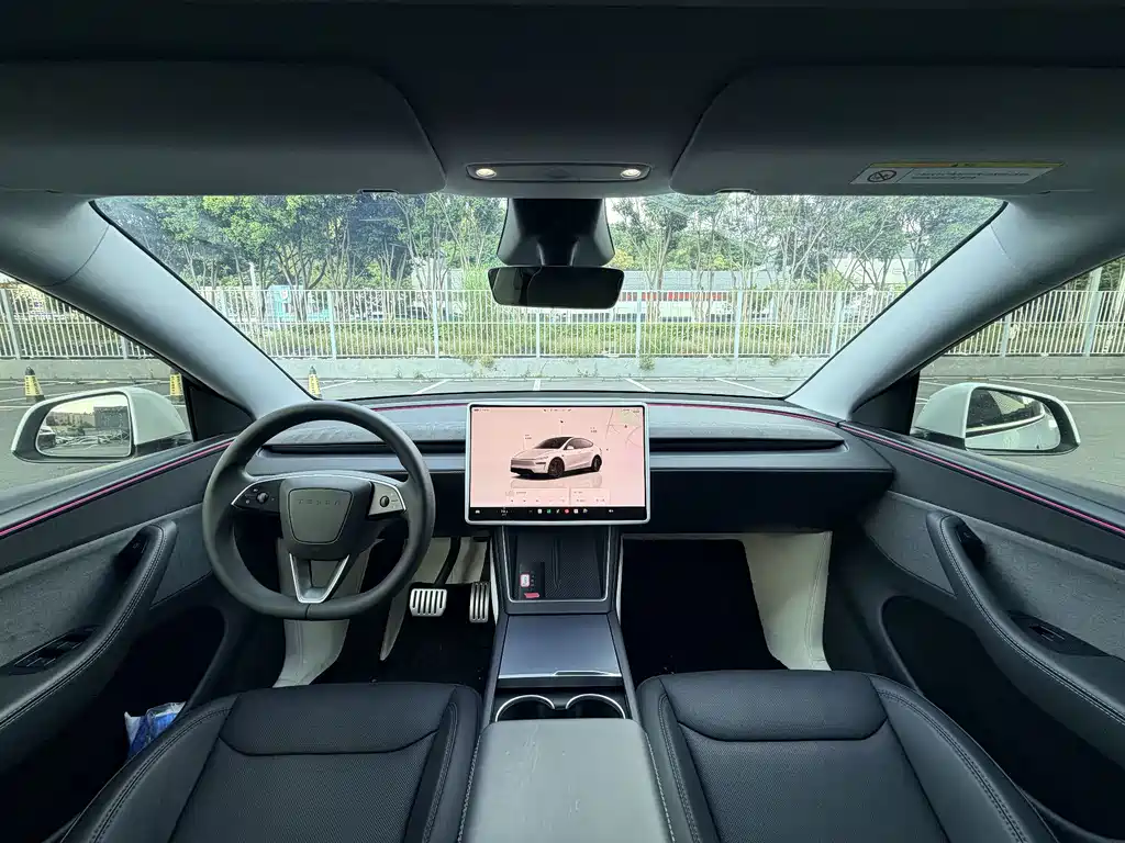 Tesla Model Y — фото 8