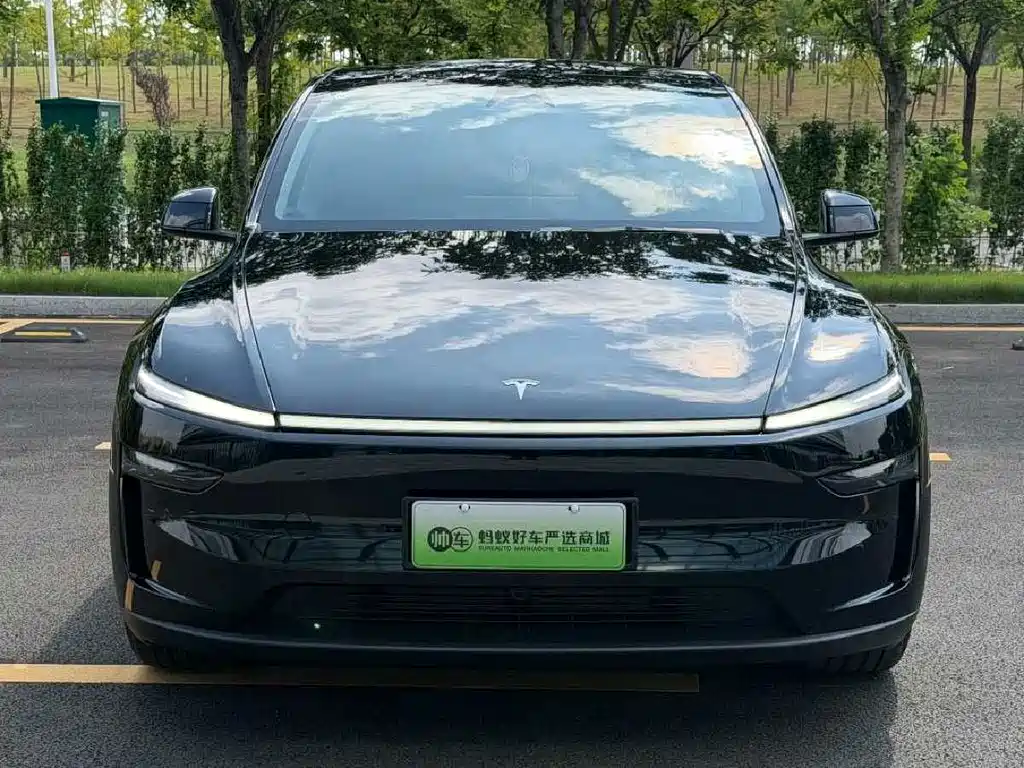 Tesla Model Y — фото 2