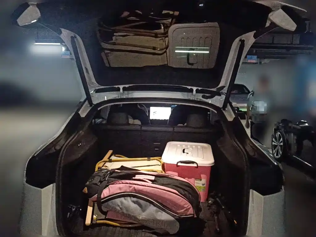 Tesla Model Y — фото 10
