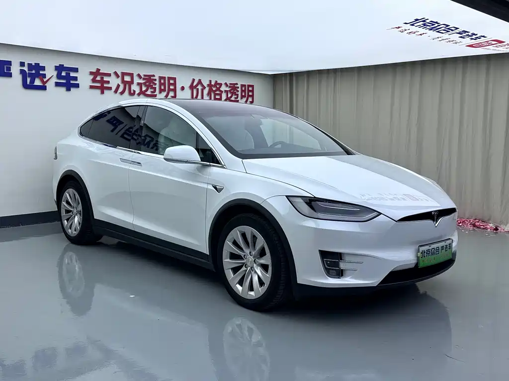 Tesla Model X — фото 2