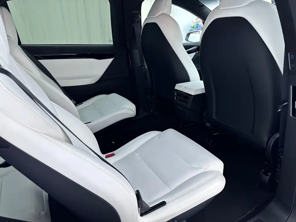 Tesla Model X — фото 13
