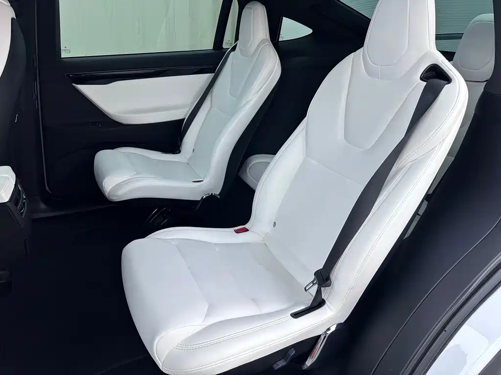 Tesla Model X — фото 15