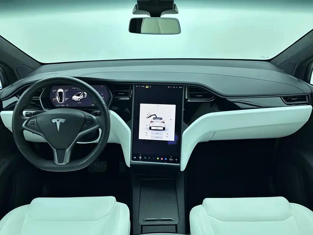 Tesla Model X — фото 19