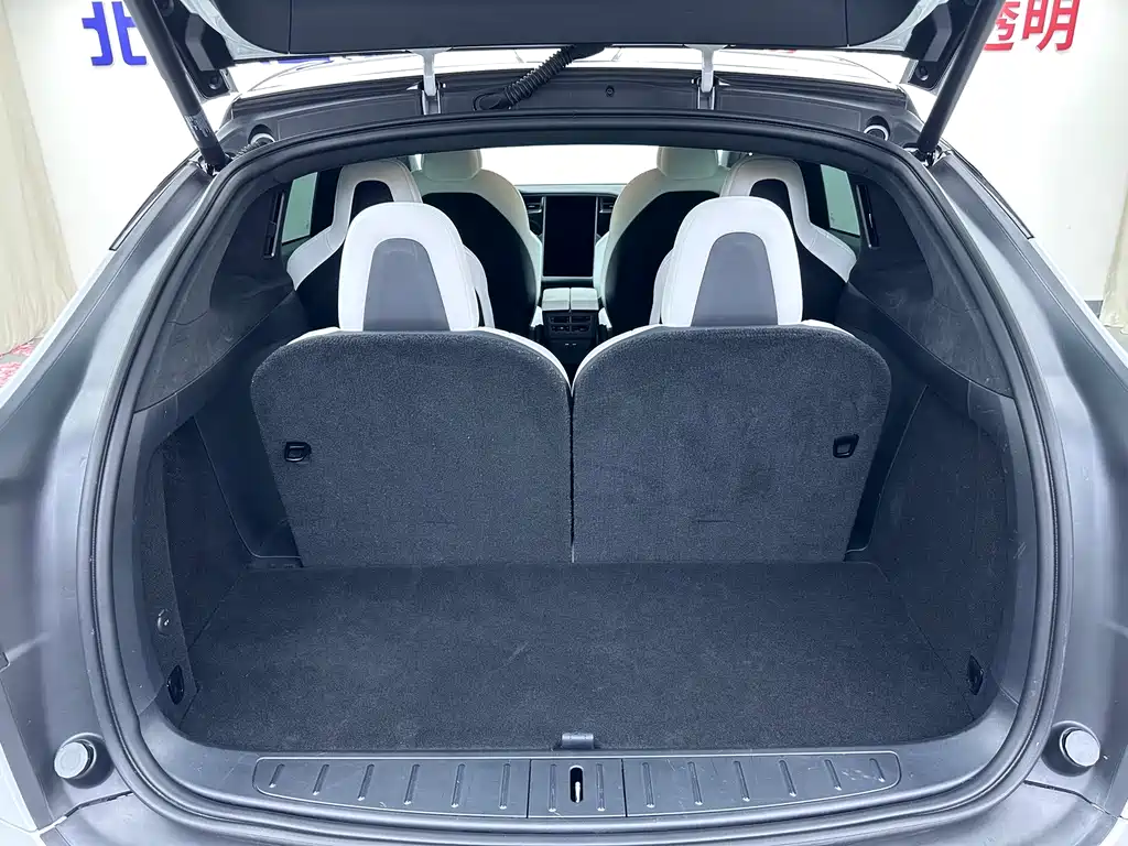 Tesla Model X — фото 21