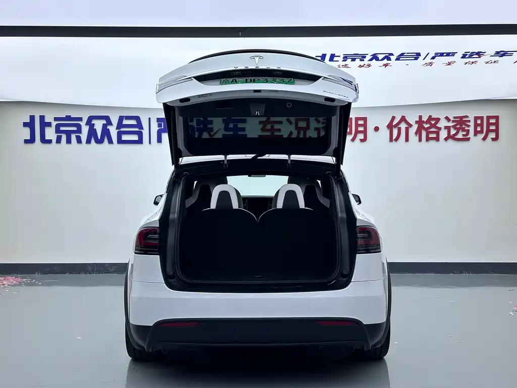 Tesla Model X — фото 22