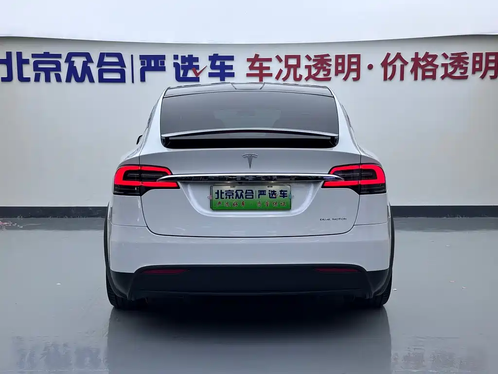 Tesla Model X — фото 23