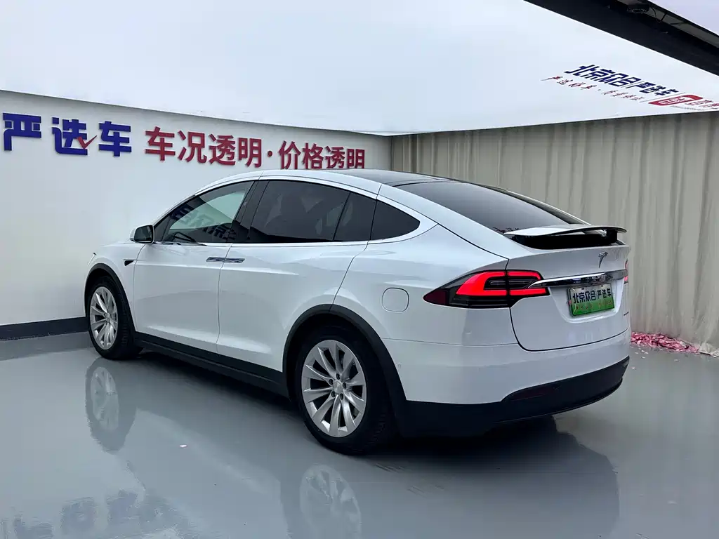 Tesla Model X — фото 24