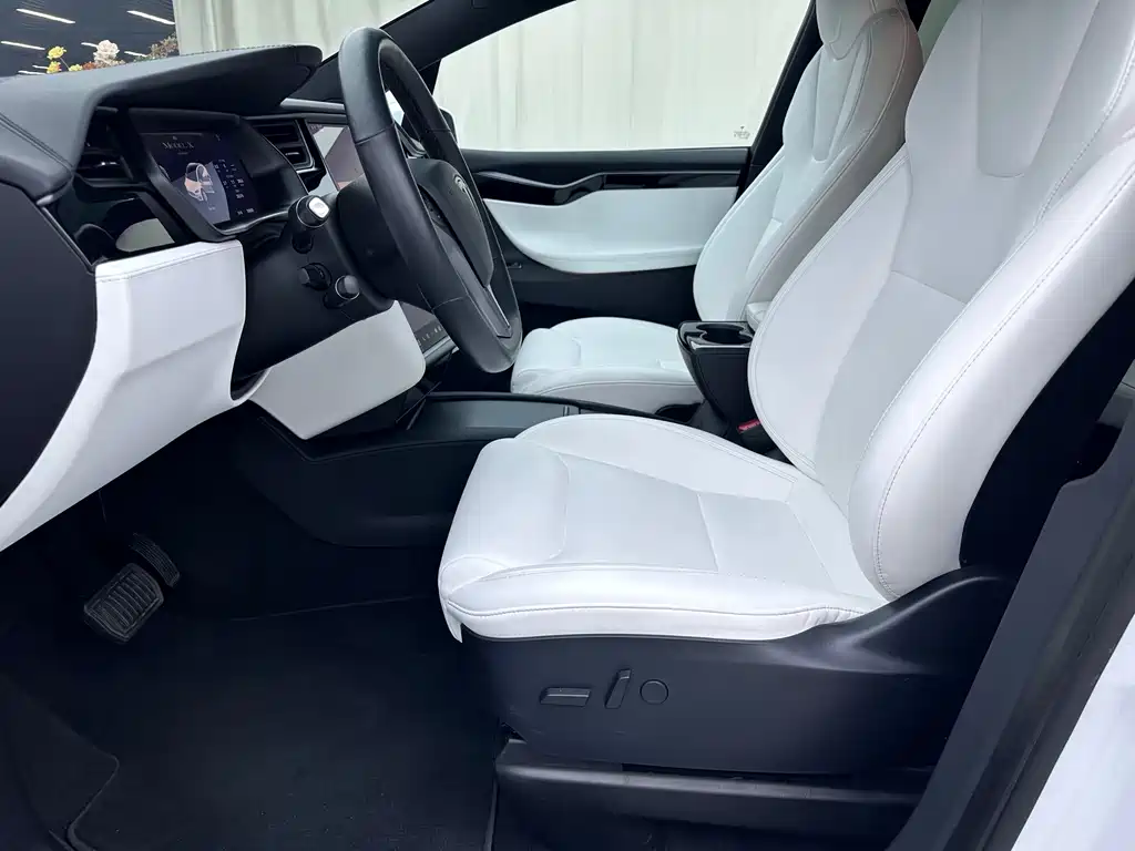 Tesla Model X — фото 5
