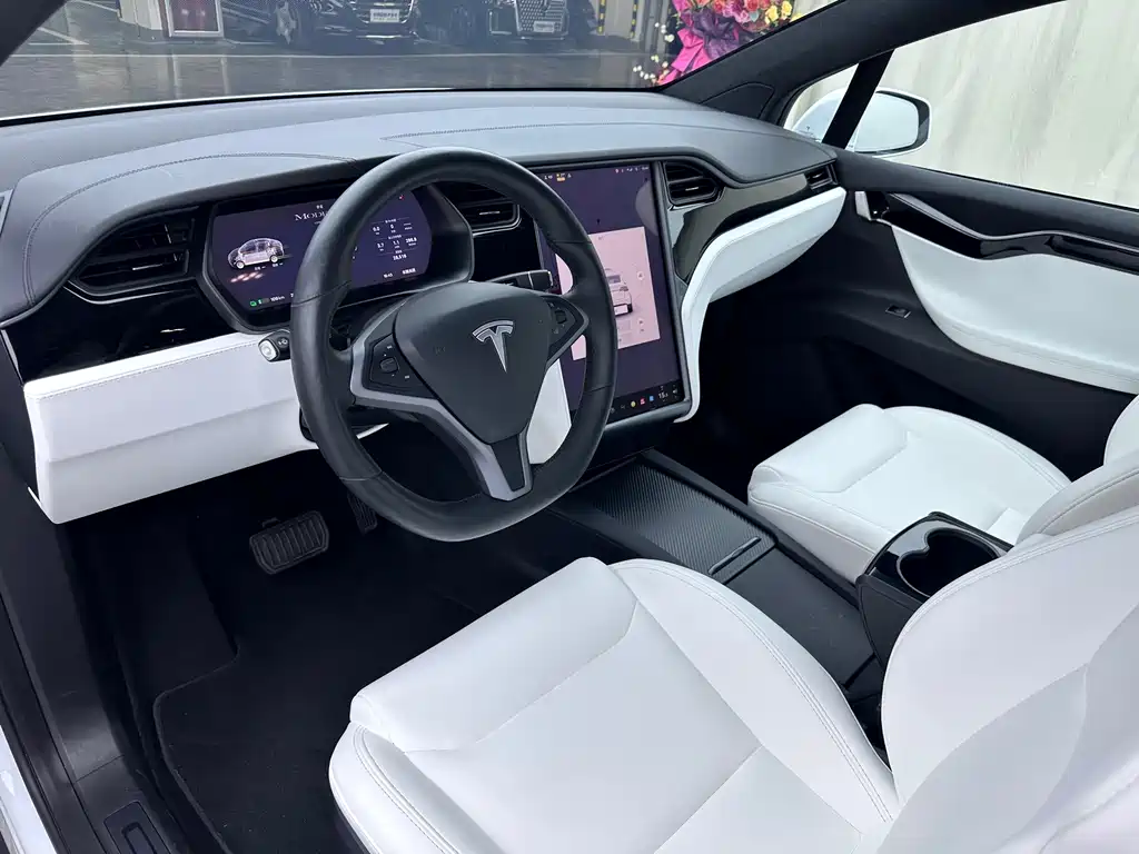 Tesla Model X — фото 6