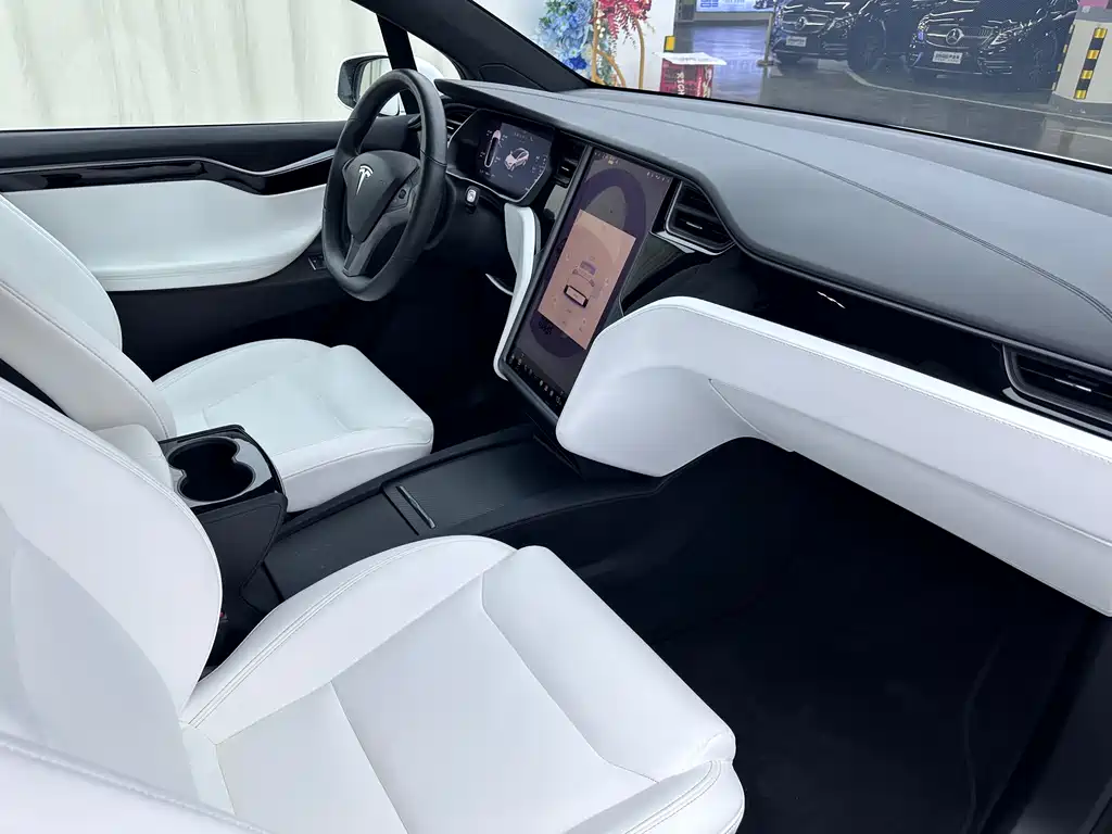Tesla Model X — фото 10