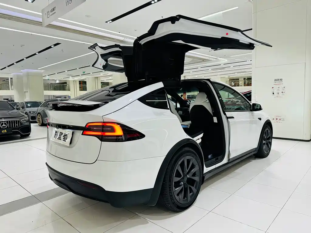 Tesla Model X — фото 3