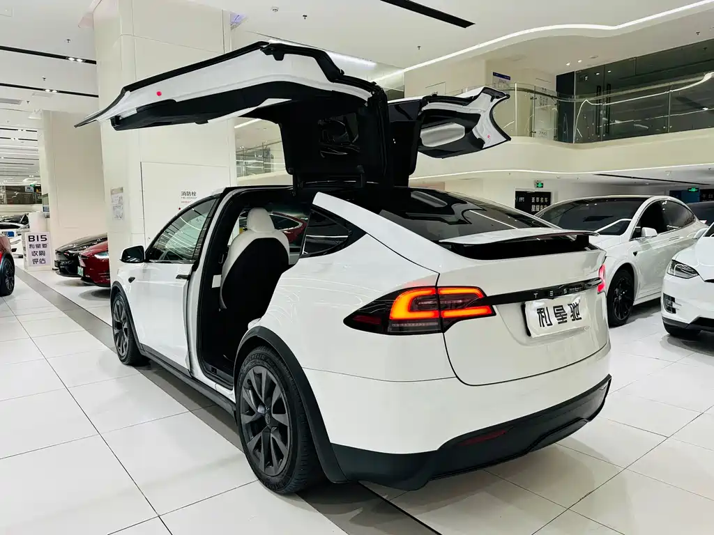 Tesla Model X — фото 4